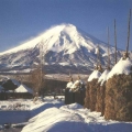 日本富士山四季风光明信片