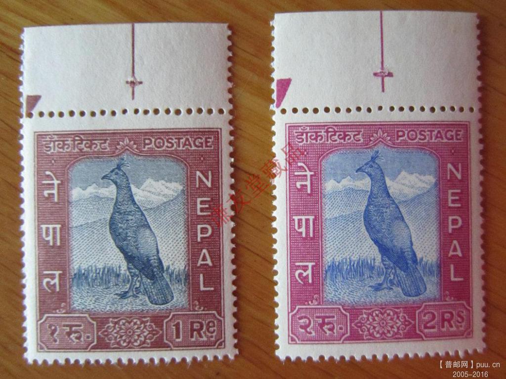 尼泊尔1959-60年发行万国邮联周-纪念加入万国邮联：（14-12至13）棕尾虹雉（2枚）.JPG.jpg