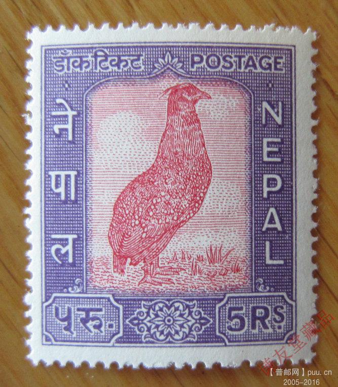 尼泊尔1959-60年发行万国邮联周-纪念加入万国邮联：（14-14）红胸角雉.JPG.jpg
