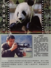 摄影作品－赴台大熊猫-团团圆圆明信片
