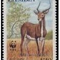 赞比亚邮票