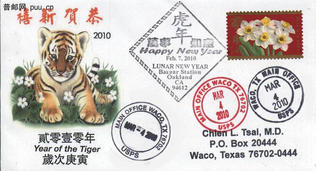 虎年封3.jpg