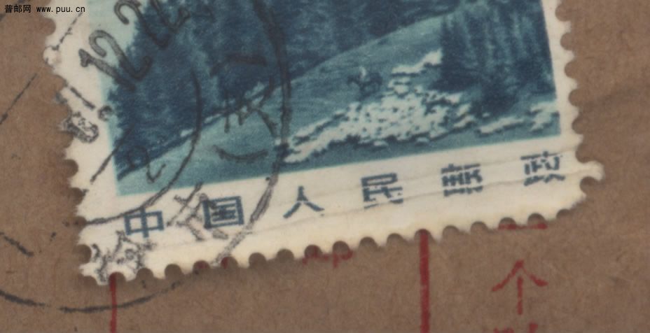 Image1(普22折白）3.jpg