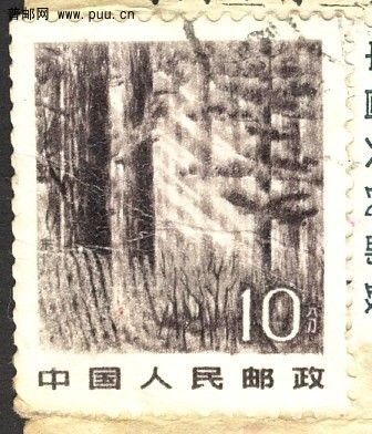 R22 10分小變异b.jpg