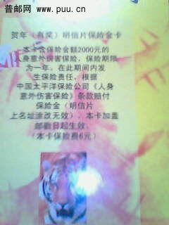 虎保险片背面IMG0294A.jpg