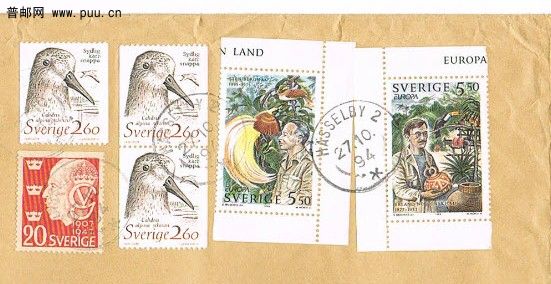 2010-9-13 12-56-25.jpg