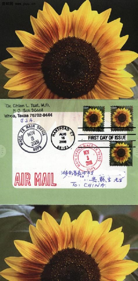 向日葵普通邮票.jpg