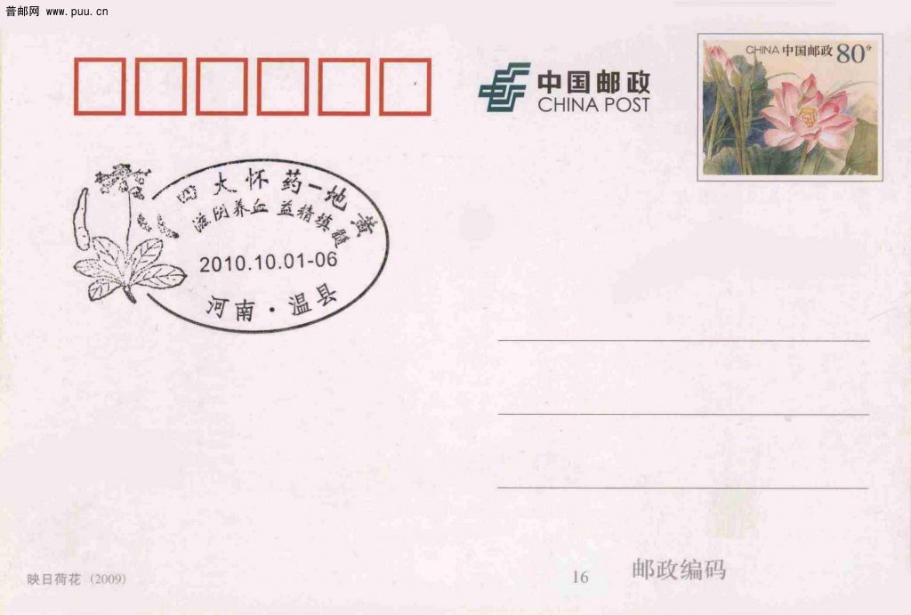 四大怀药- 地黄.jpg