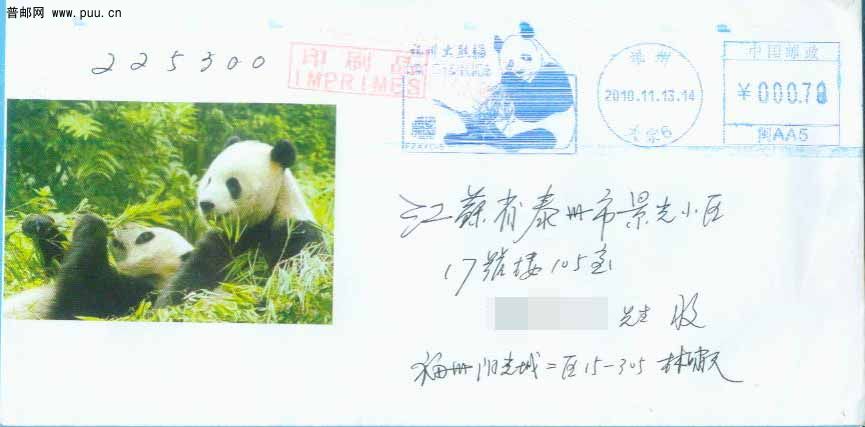 福州“熊猫”.jpg