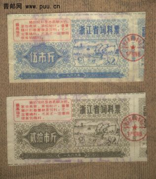 浙江料票1.jpg