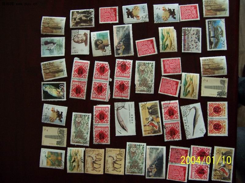 调整大小 100_3713.JPG