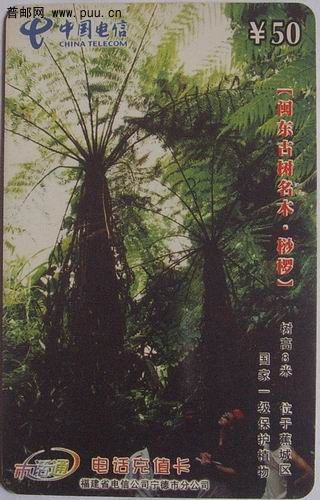 (20)宁德02年CZ0003市话通电话充值卡1元