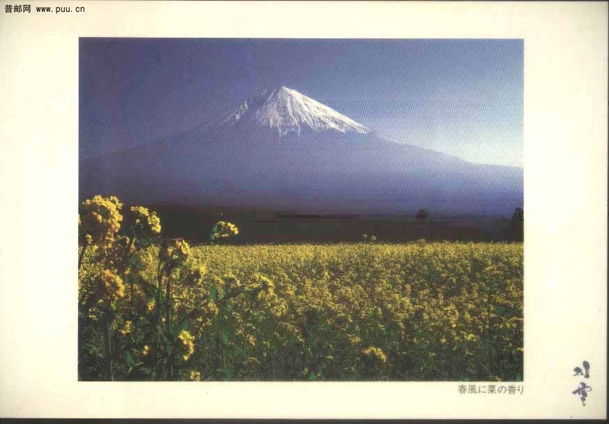 富士山明信片-1.jpg