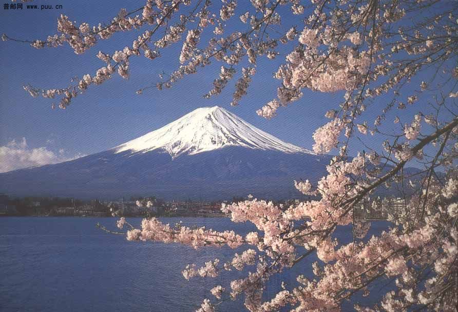 富士山春-1.jpg