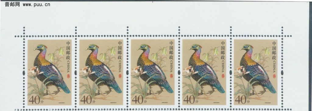 普31 40分边纸信息上十字线.jpg