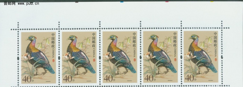 普31 40分边纸信息上.jpg