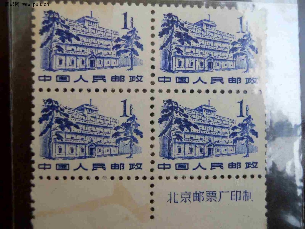 .牛. 蹬伞. R8-22大连及变体 055.jpg