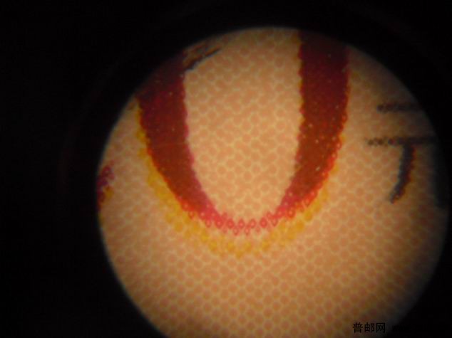 调整大小 CIMG1447.JPG