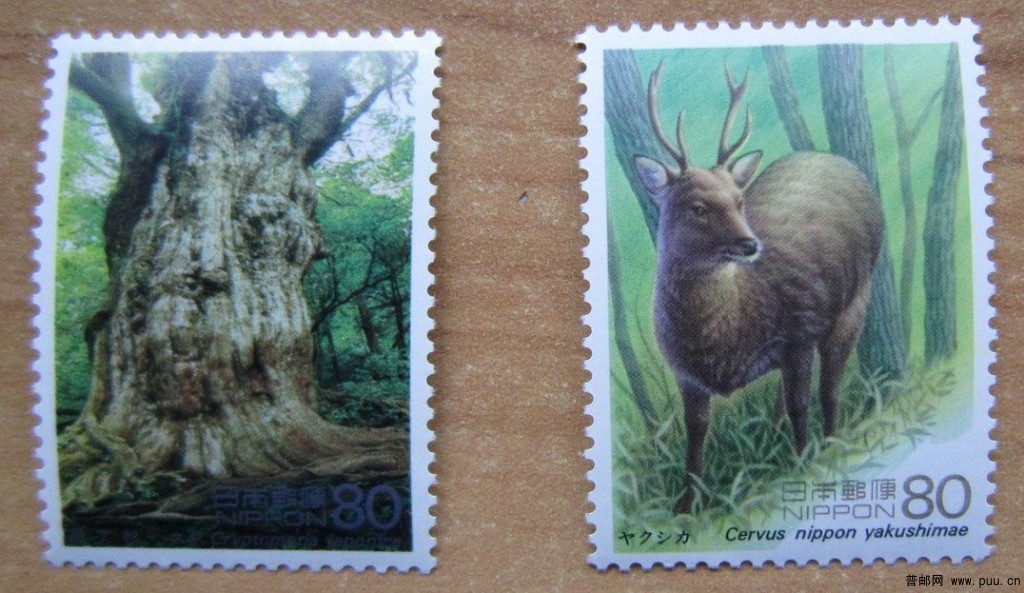 日本 屋久岛【世界遗产第三集-1995年】1.jpg