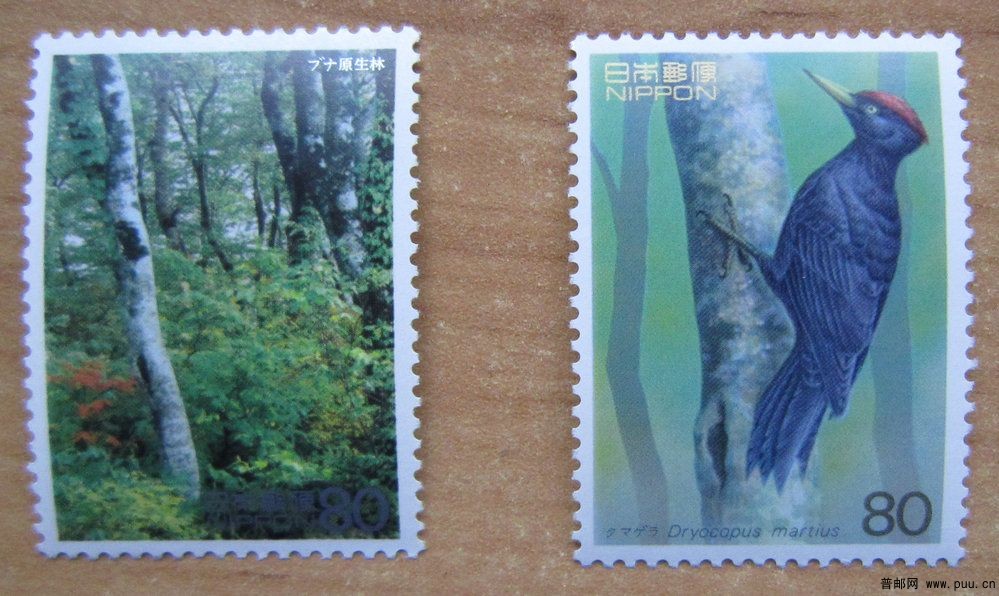 日本 白神山地【世界遗产第四集-1995年】.jpg