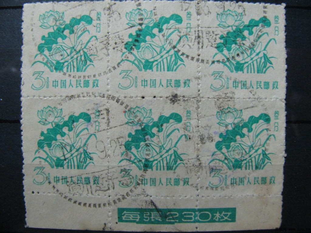 普10 3分信销普票6联.JPG