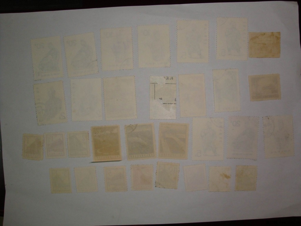 调整大小 DSC04537.JPG