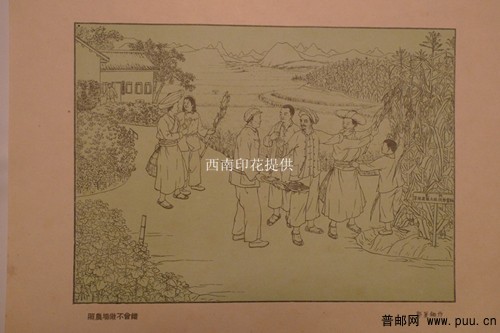 照片 029_副本.jpg