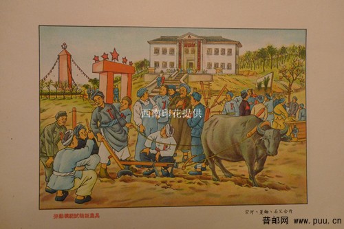 照片 012_副本.jpg