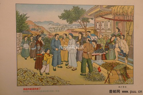 照片 016_副本.jpg