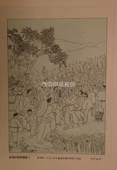 照片 019_副本.jpg