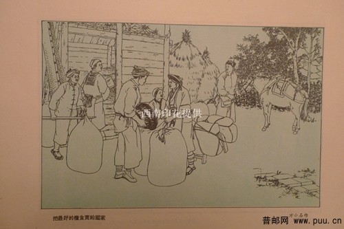 照片 025_副本.jpg