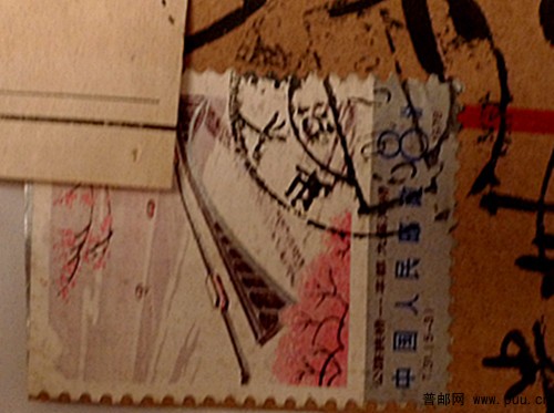 照片 009_副本5.jpg