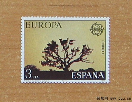 西班牙 多纳纳国家公园（古树）.JPG