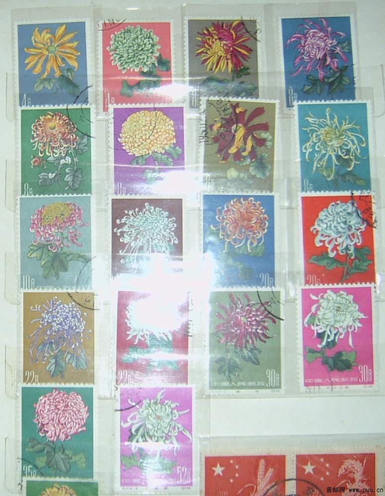 特44 菊花660元--有一枚无胶、个别有背贴发黄粘色.JPG