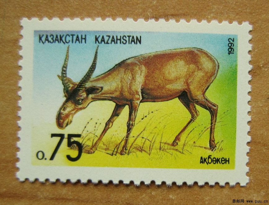 哈萨克斯坦 萨利亚喀–哈萨克斯坦北部的疏树草原和湖泊【塞加羚羊】.jpg.jpg