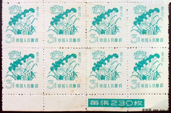 普10  3分下边纸8联.jpg