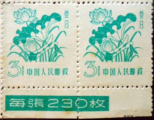 普10  3分下边纸8联局部.jpg