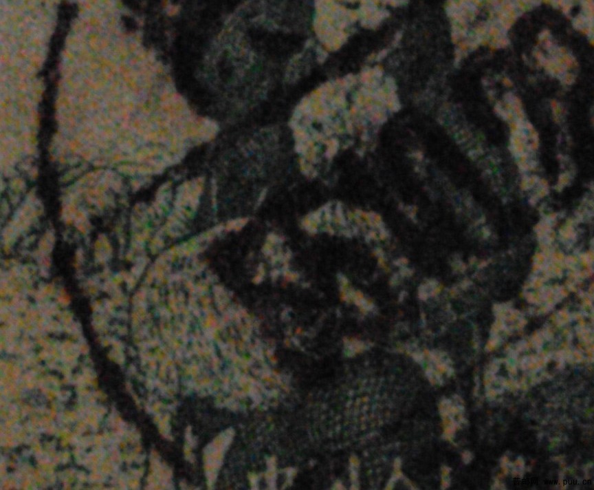 50年代牧羊图200元邮票2.jpg