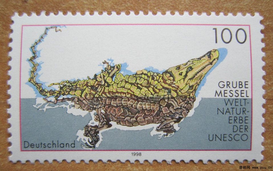 德国 麦塞尔化石遗址.jpg