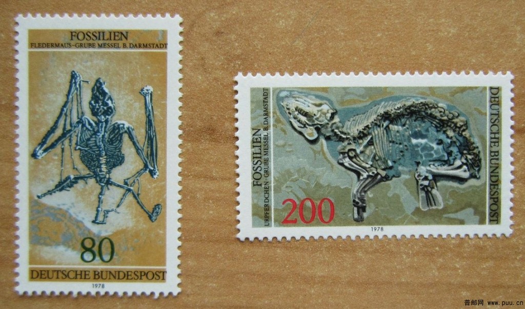 德国 麦塞尔化石遗址【1978年发行】.jpg