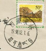 80-51-2西藏米林.JPG