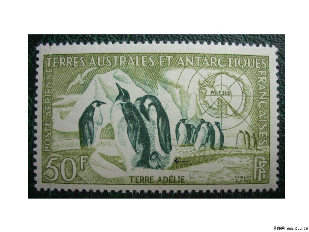 法属南极C1.jpg