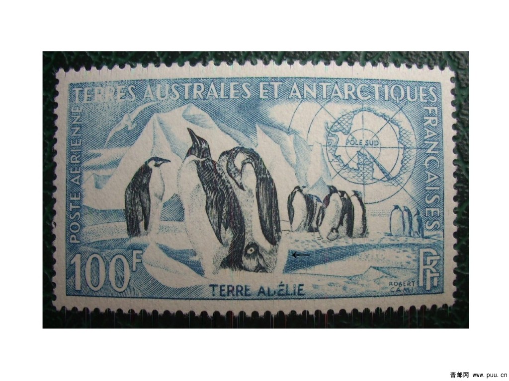 法属南极C2.jpg