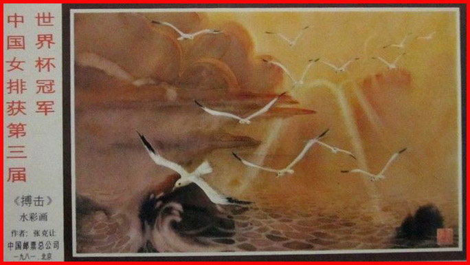 女排 世界杯卡背面.jpg