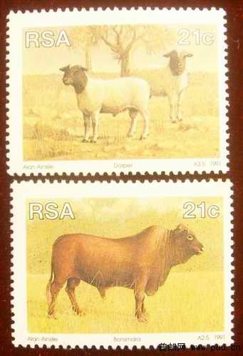南非91年牛、羊2元/枚