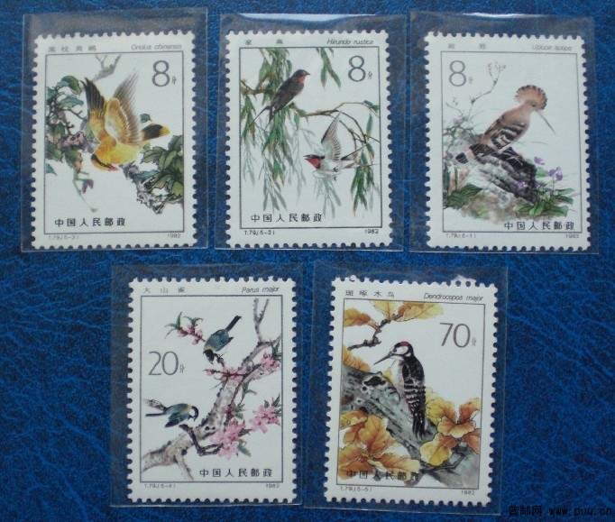 T79 益鸟 原胶全品50元.jpg