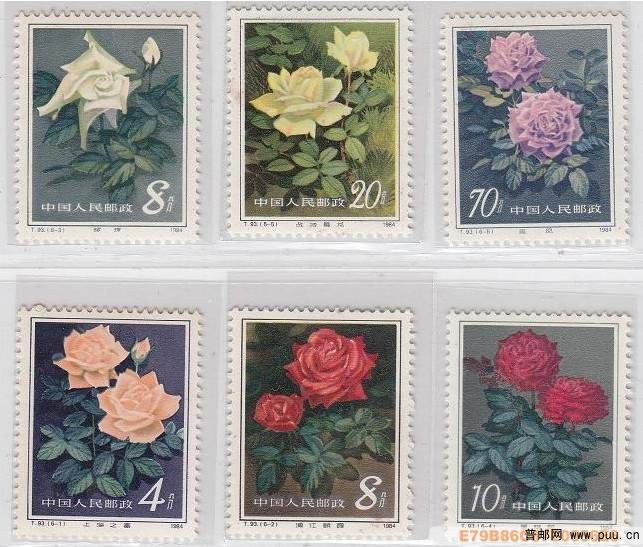 T93 月季花 全新上品-3背色暗35元.jpg