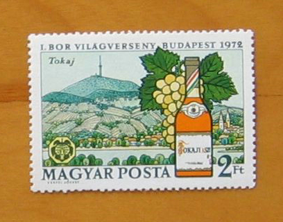 匈牙利 托考伊地区、托考伊陈葡萄酒、葡萄酒瓶及葡萄.JPG