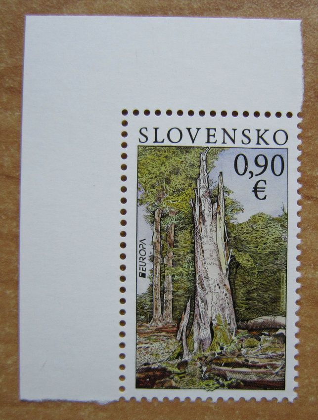 斯洛伐克 喀尔巴阡山原始山毛榉森林 【2011年更名为：东欧远古山毛榉林、德国古山毛榉.jpg