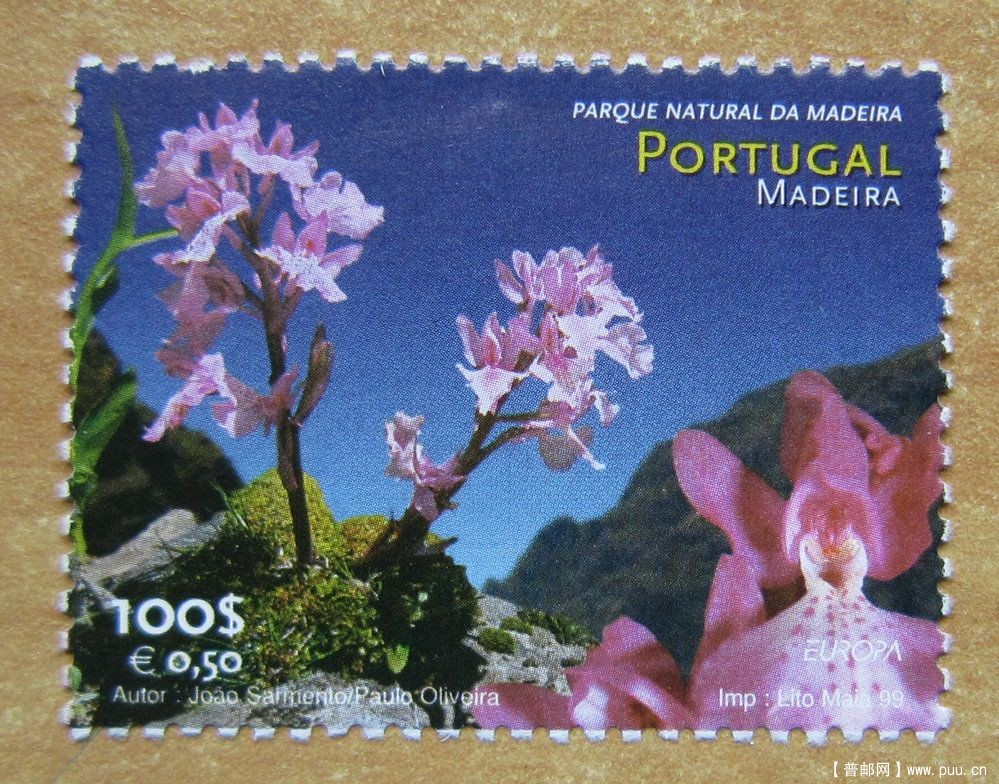 葡萄牙 马德拉岛的阔叶乔木群【马德拉月桂树公园】.jpg